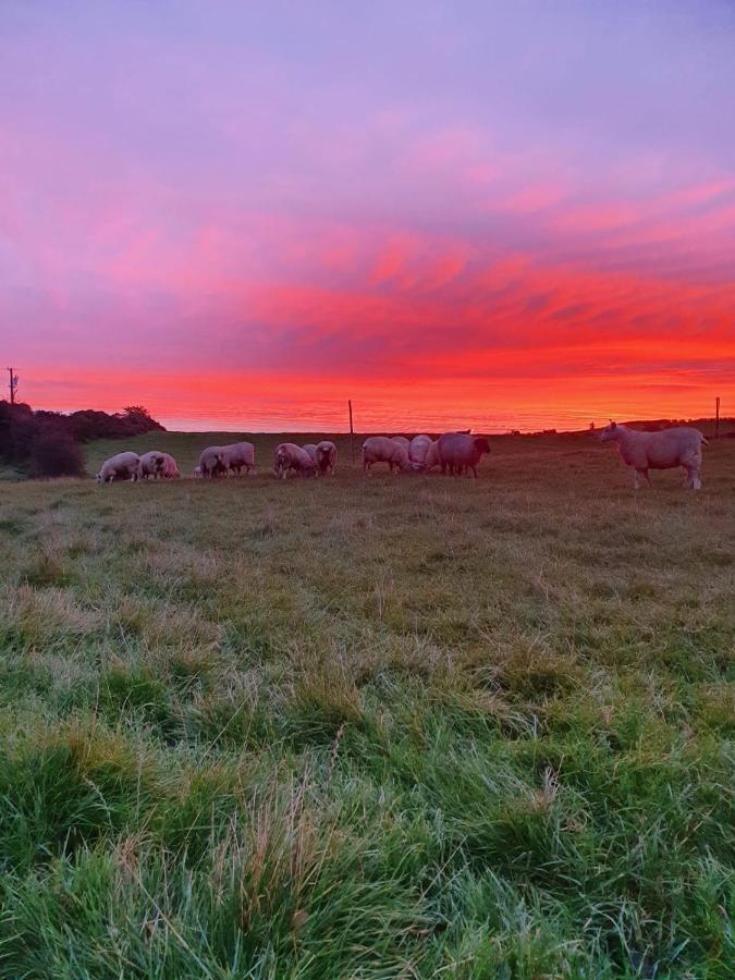 Claragh Cottage Cavan Eksteriør bilde