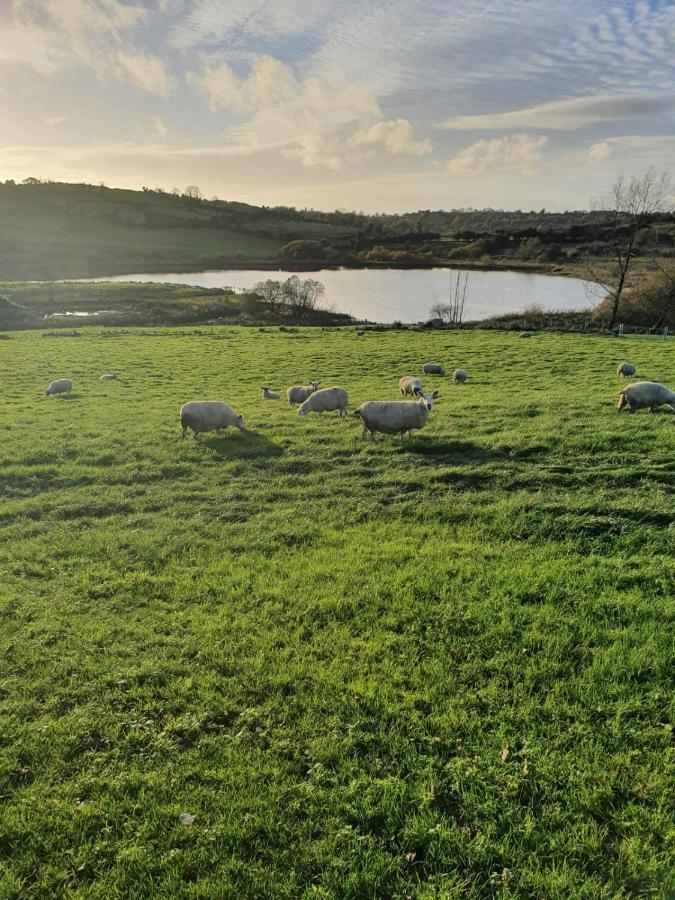 Claragh Cottage Cavan Eksteriør bilde
