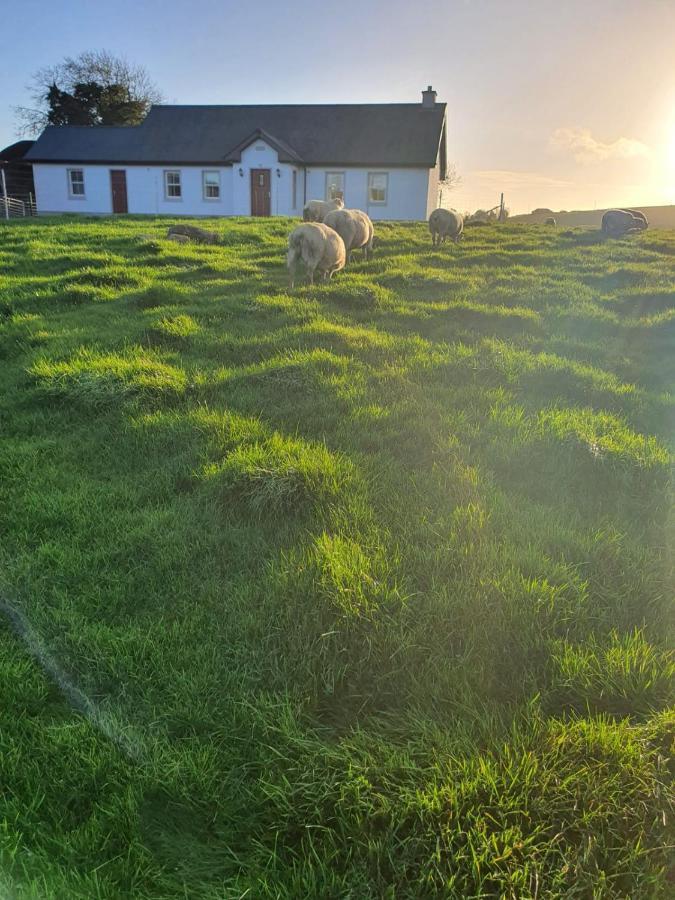 Claragh Cottage Cavan Eksteriør bilde